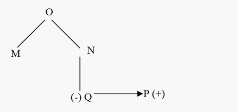 Solved Blood Relation Questions