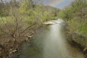 Misty Creek